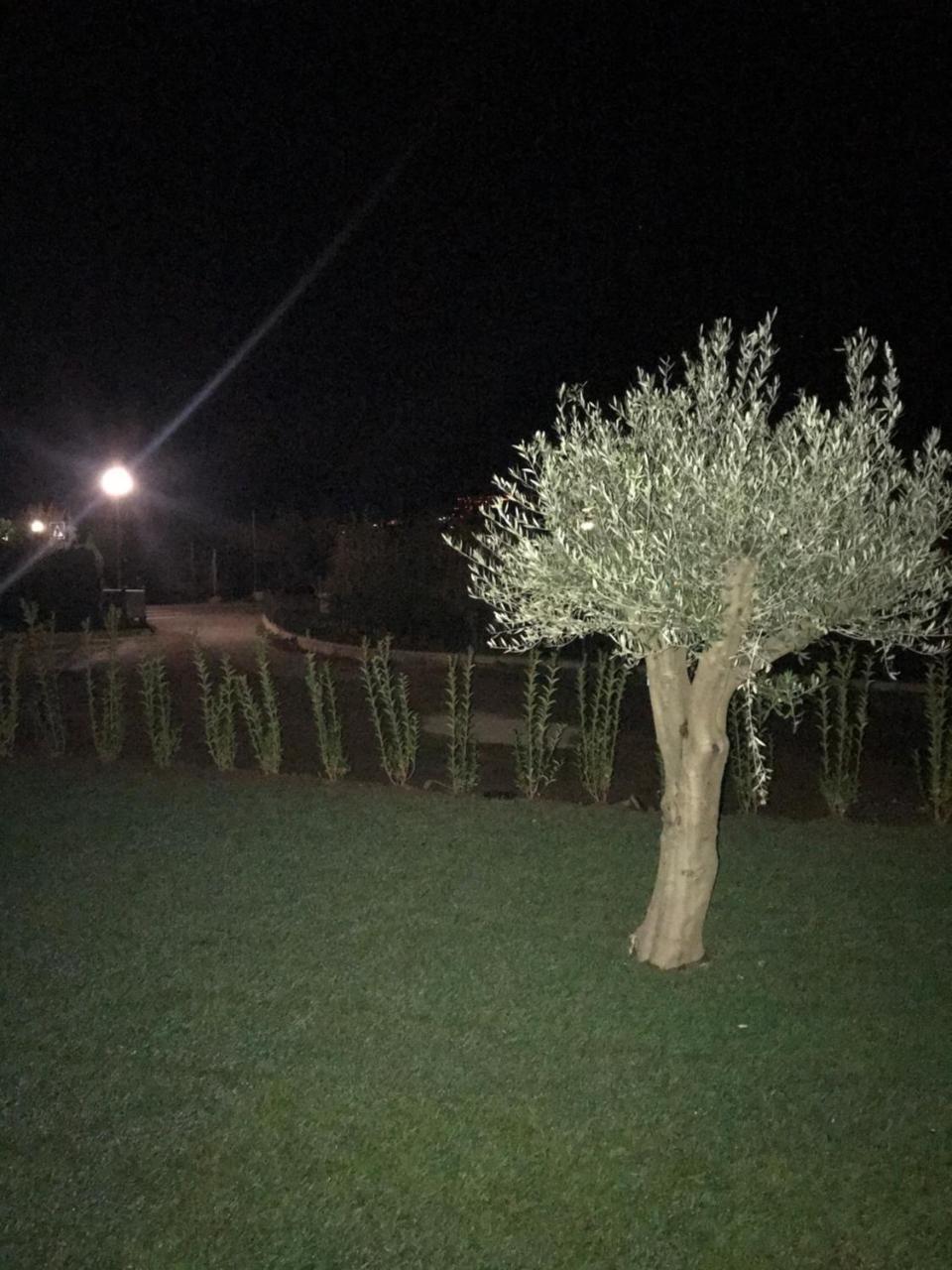 Antonya Apartments سكين المظهر الخارجي الصورة